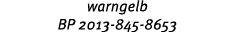 warngelb BP 2013 845 8653